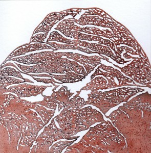 Ruth Bühlmann: Stein rot, 2012, 40x40cm
